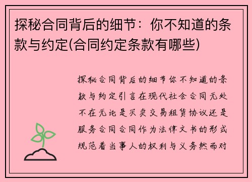 探秘合同背后的细节：你不知道的条款与约定(合同约定条款有哪些)