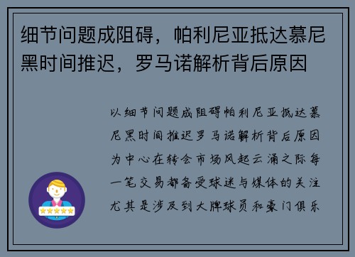 细节问题成阻碍，帕利尼亚抵达慕尼黑时间推迟，罗马诺解析背后原因